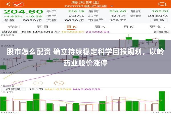 股市怎么配资 确立持续稳定科学回报规划，以岭药业股价涨停