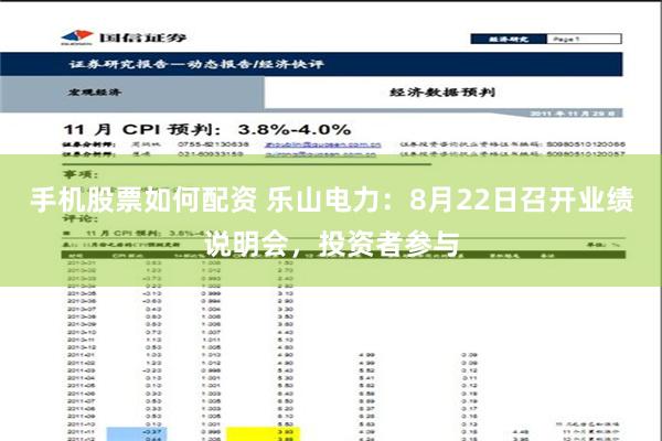 手机股票如何配资 乐山电力：8月22日召开业绩说明会，投资者参与