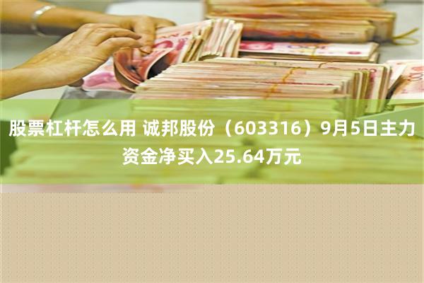 股票杠杆怎么用 诚邦股份（603316）9月5日主力资金净买入25.64万元