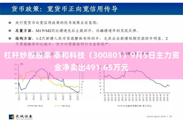 杠杆炒股股票 泰和科技（300801）9月5日主力资金净卖出491.65万元