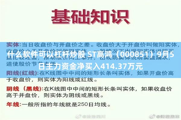 什么软件可以杠杆炒股 ST高鸿（000851）9月5日主力资金净买入414.37万元