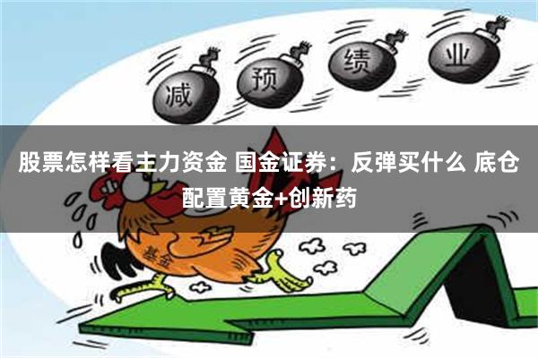 股票怎样看主力资金 国金证券：反弹买什么 底仓配置黄金+创新药